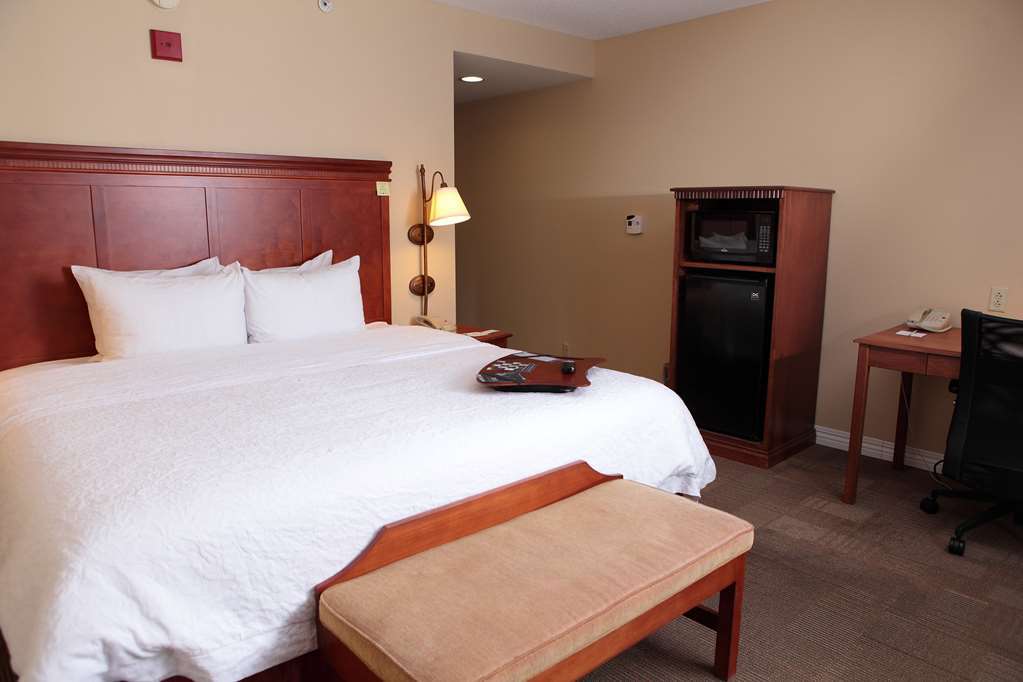 Hampton Inn Martin Chambre photo
