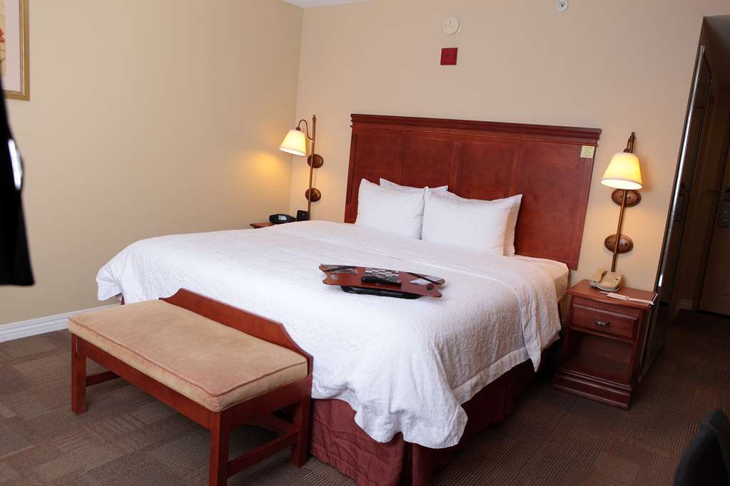 Hampton Inn Martin Chambre photo
